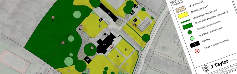 Preliminary Ecological Appraisal